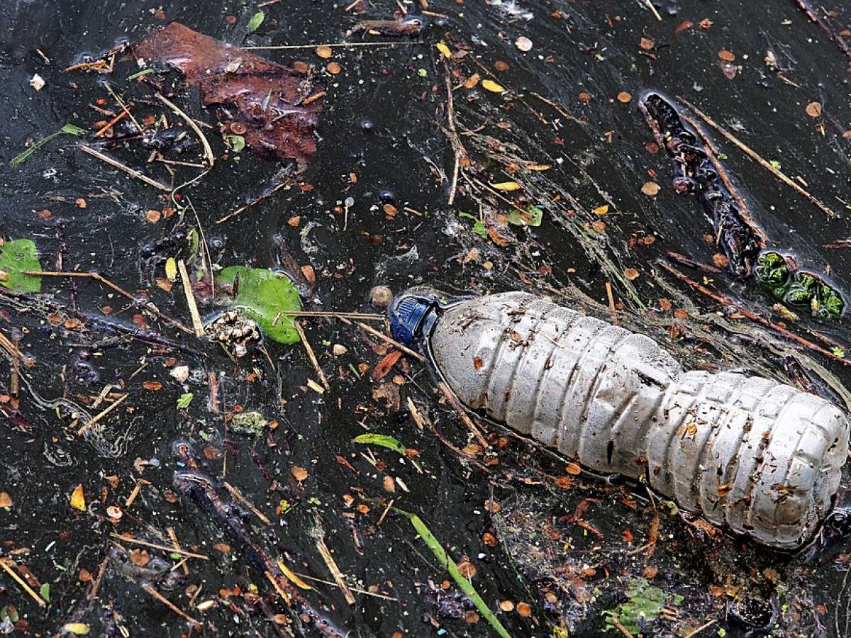 Los pesticidas y los plásticos: La acumulación de plástico en territorios de agricultura intensiva es una problemática medioambiental preocupante.