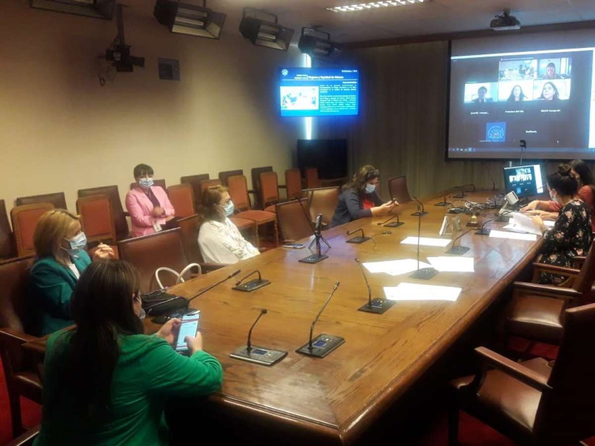 Comisión de Mujeres inicia debate de proyecto para la reciprocidad de cargas familiares