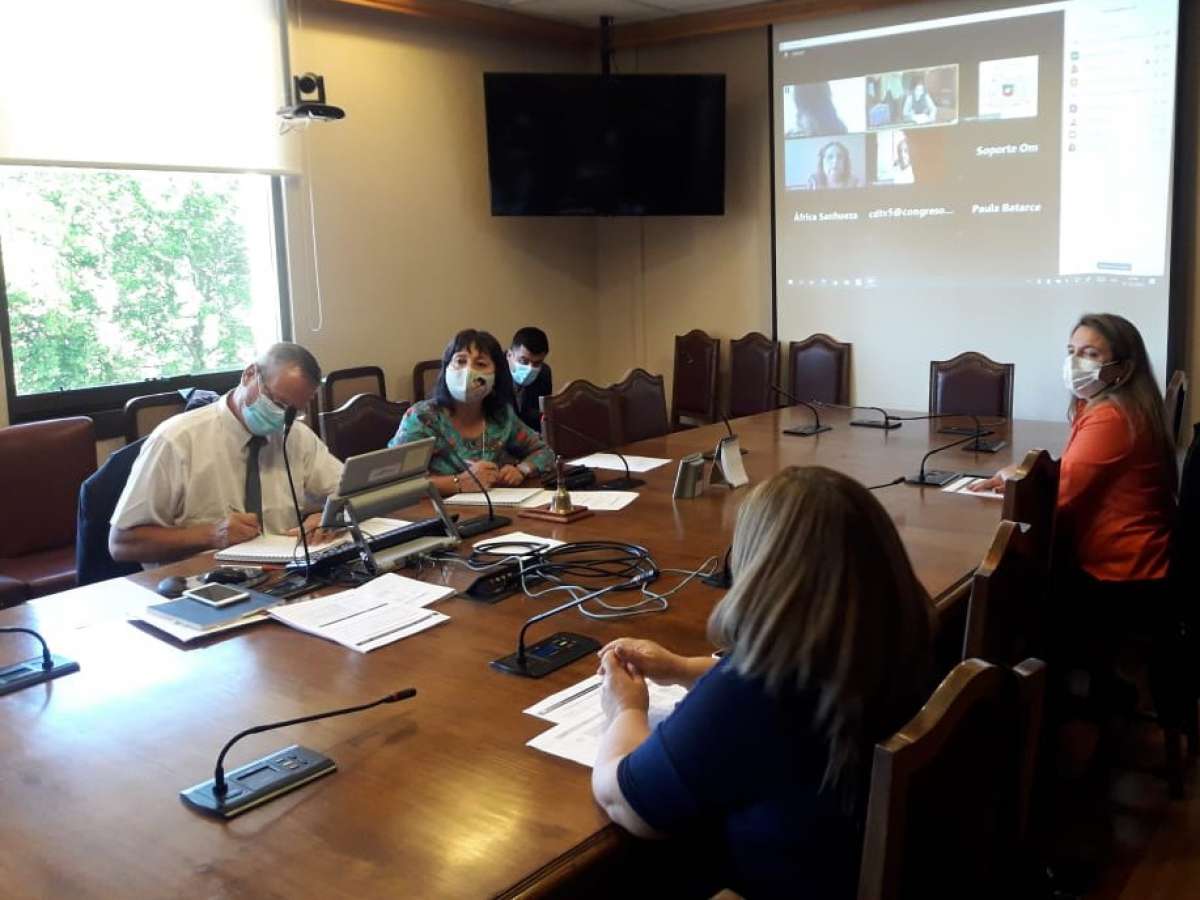 Comisión de Personas Mayores y Discapacidad definió primeras audiencias