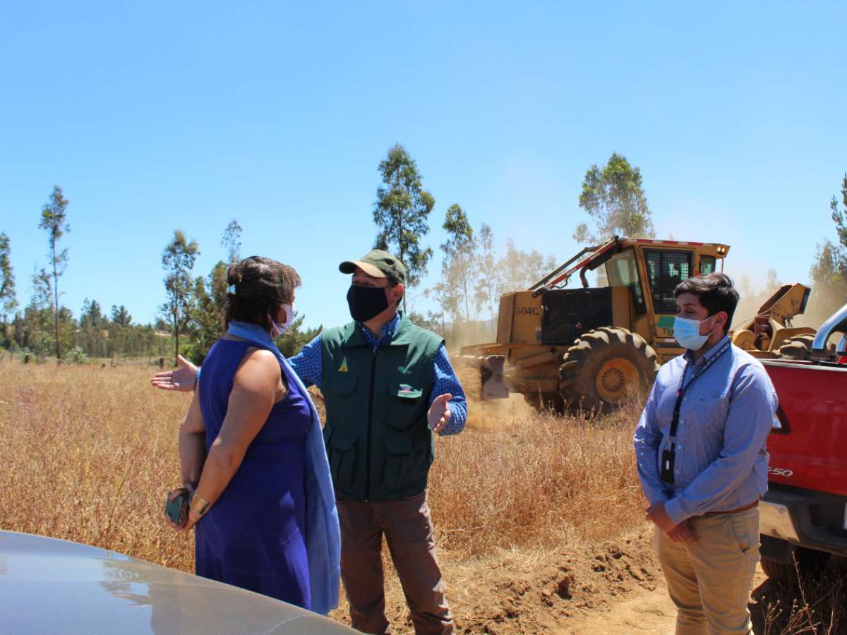 Conaf realiza 67 km de cortafuegos preventivos en Itata