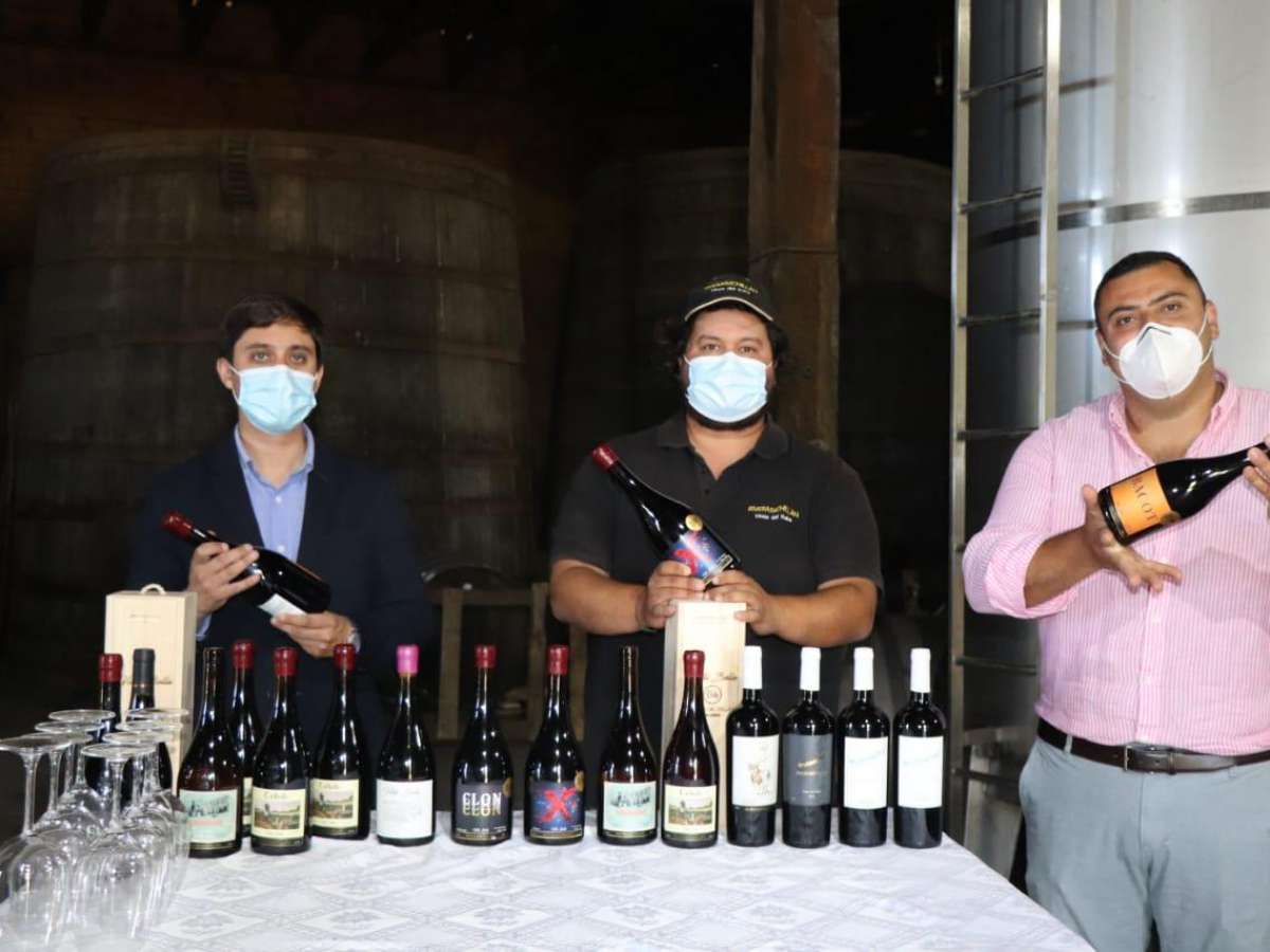 Viña Riveras del Chillan destaca entre los mejores vinos de Chile en la Guía Descorchados