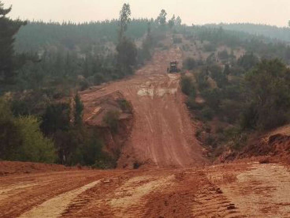 Conaf efectua cortafuegos preventivos en itata