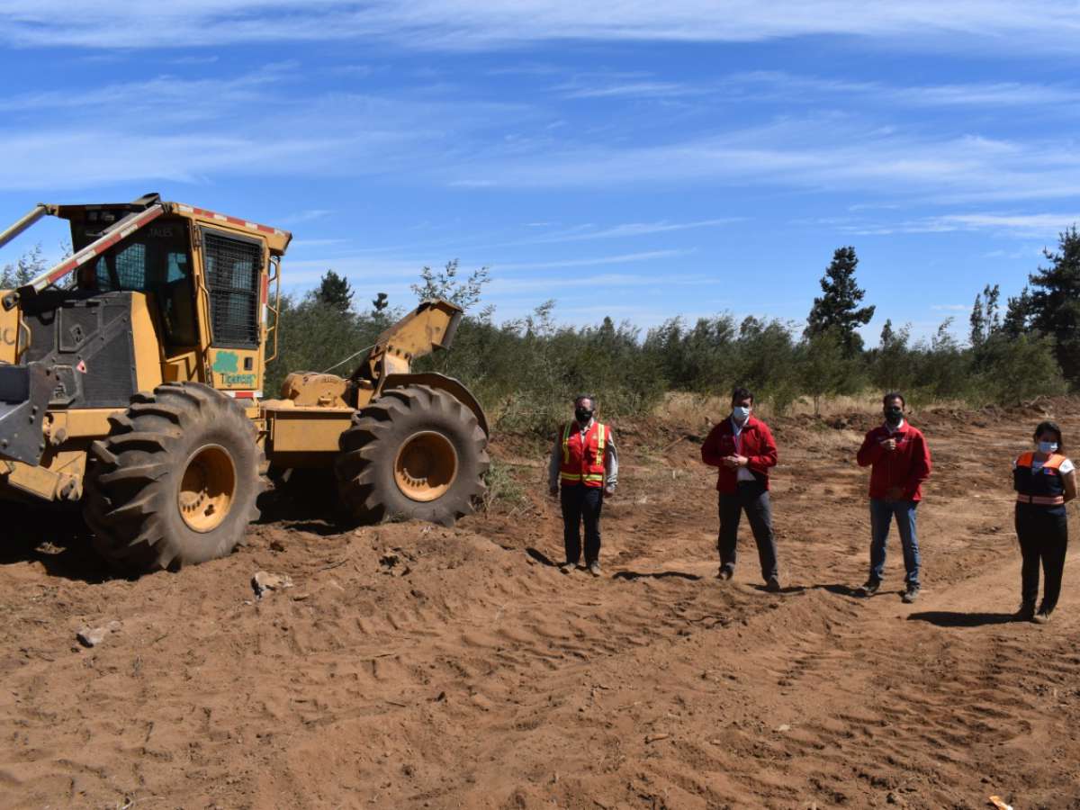 77,5 por ciento de avance presentan las faenas de cortafuegos en Región de Ñuble