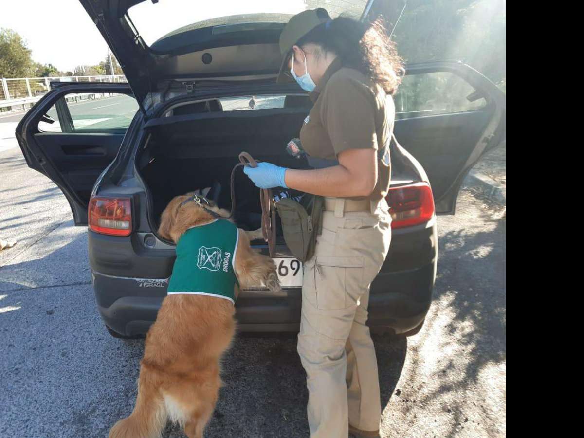 Balance Año Nuevo: Carabineros cerró con baja del -53% en accidentes de tránsito y 113 detenidos por incumplir normas sanitarias