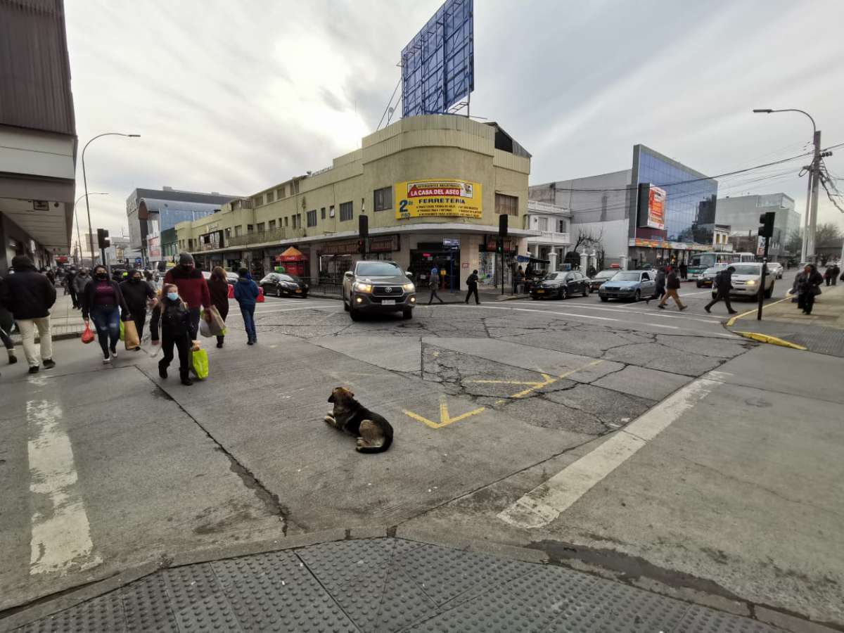 Se publicó la licitación de proyecto que contempla la instalación de 14 cámaras para la UOCT