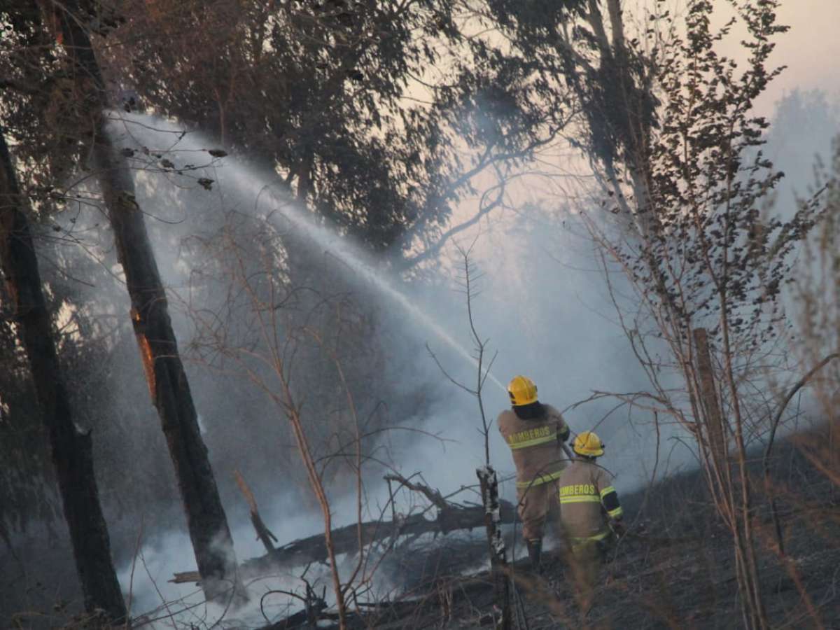 Refuerzan llamado a la prevención de incendios forestales con origen en cosechas agrícolas