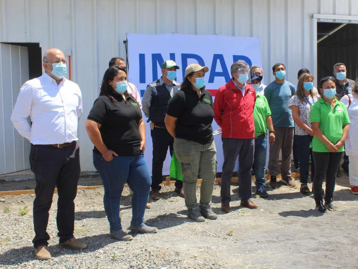 Autoridades municipales y de Indap visitaron a jóvenes agricultores de Quillón destacados en asociatividad productiva