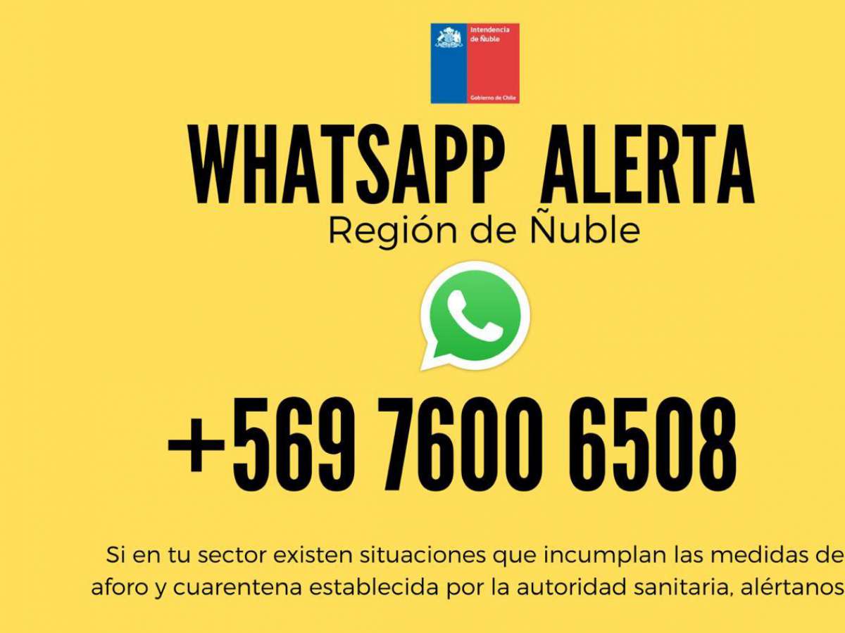 Whatsapp alerta de la intendencia de Ñuble ha recibido más de mil denuncias