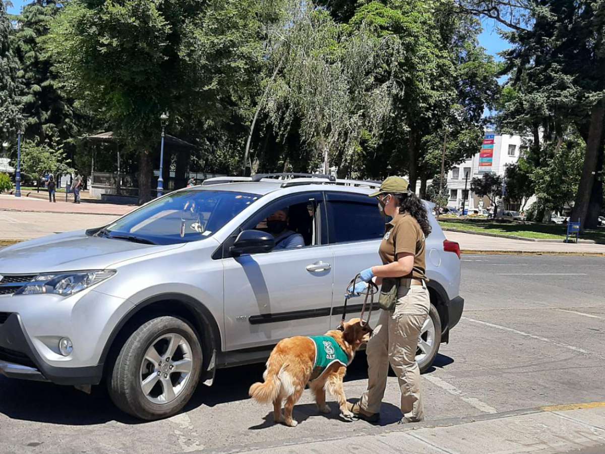 Carabineros informó la detención de 25 personas que incumplieron las medidas sanitarias durante la última jornada de servicios por pandemia