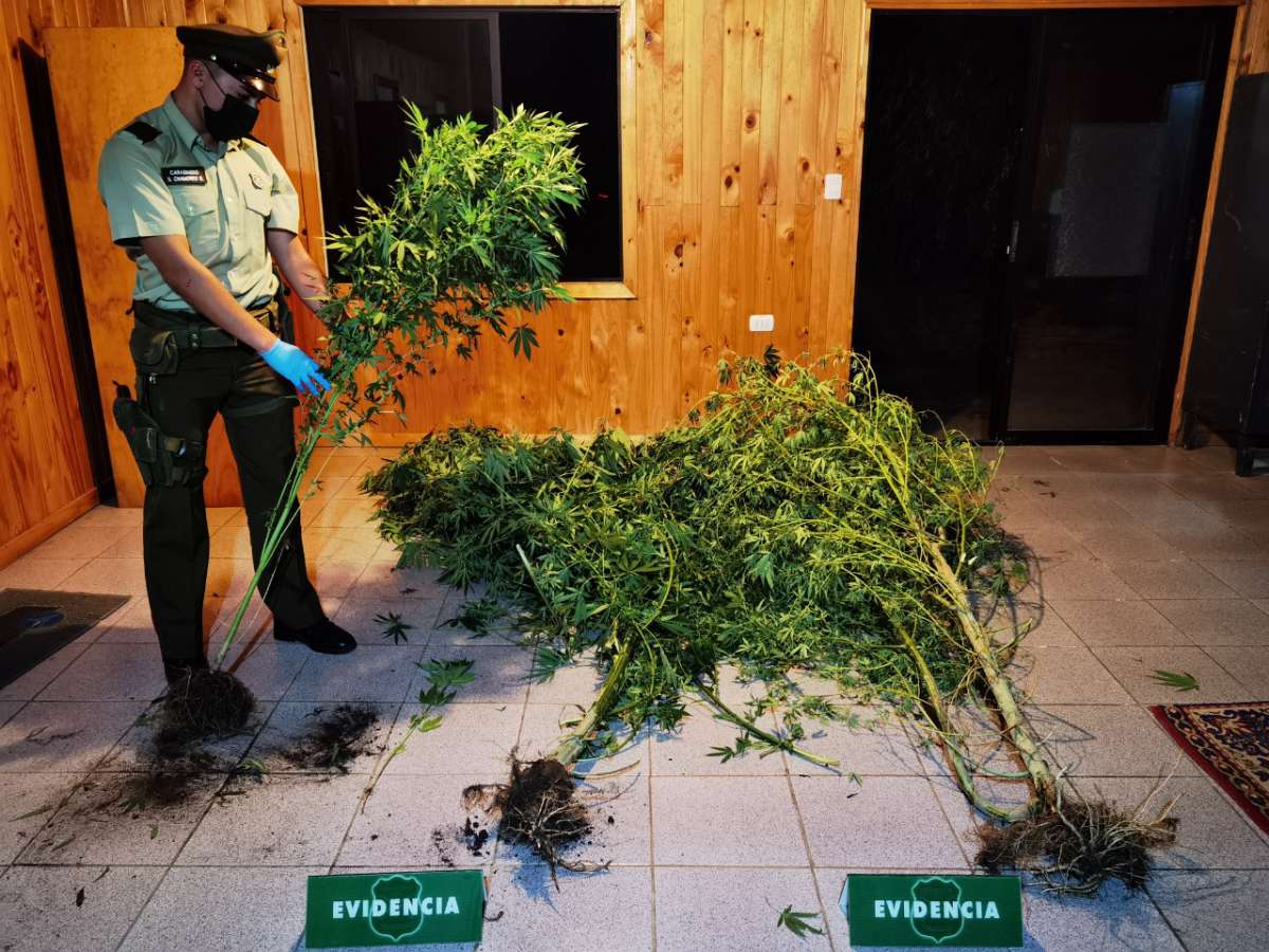 Carabineros detuvo en Trehuaco a banda criminal dedicada al robo en inmuebles