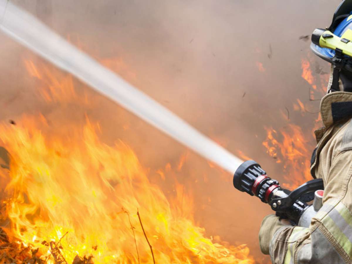 Incendio en el sector Vegas de Itata de Coelemu dejo como resultado una persona fallecida