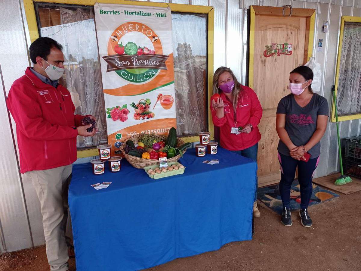 Convocan a agricultoras de Ñuble a postular a curso virtual y gratuito desarrollado por la Comisión Nacional de Riego