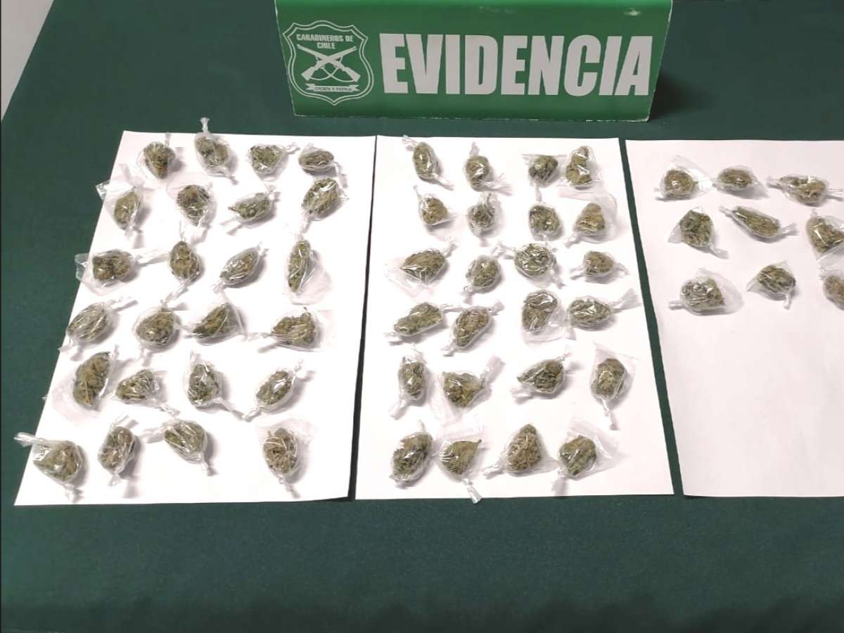 Carabineros detuvo en Chillán Viejo a sujeto que portaba bolsas con marihuana elaborada