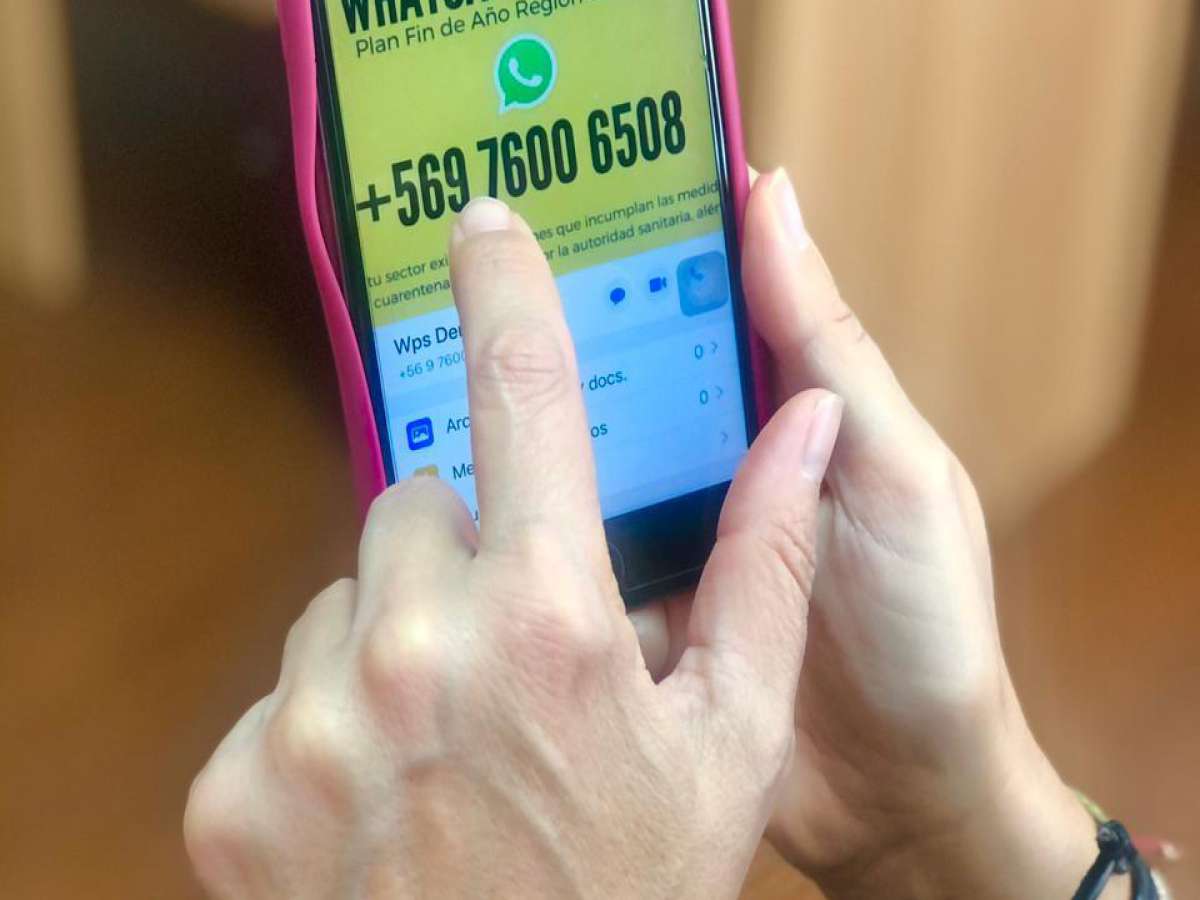 Whatsapp alerta de intendencia recibe cerca de dos mil denuncias  a tres meses de su implementación