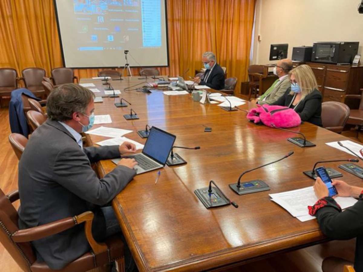 Constitución avanza en proyecto sobre delitos económicos y atentados contra el medio ambiente