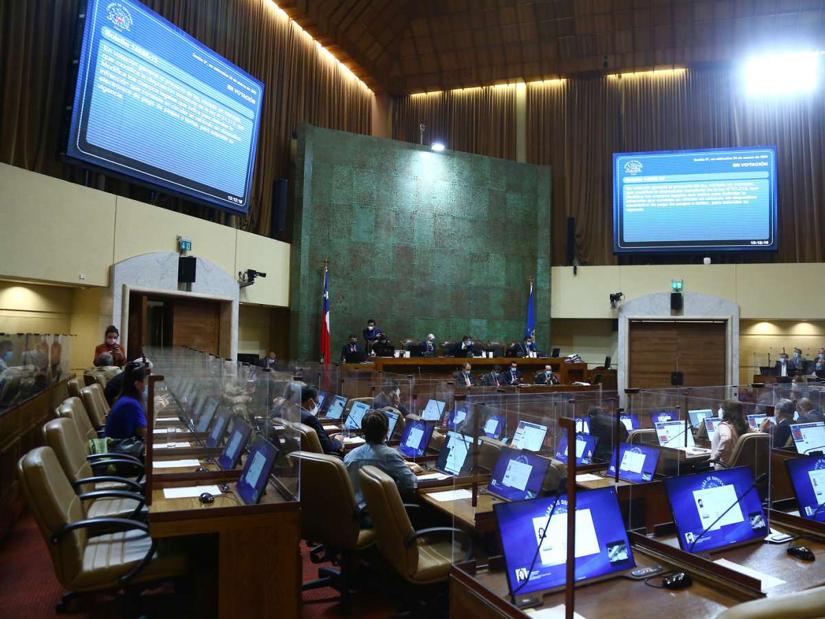 Al Senado proyecto que establece igualdad de género en denominación de bienes de uso público