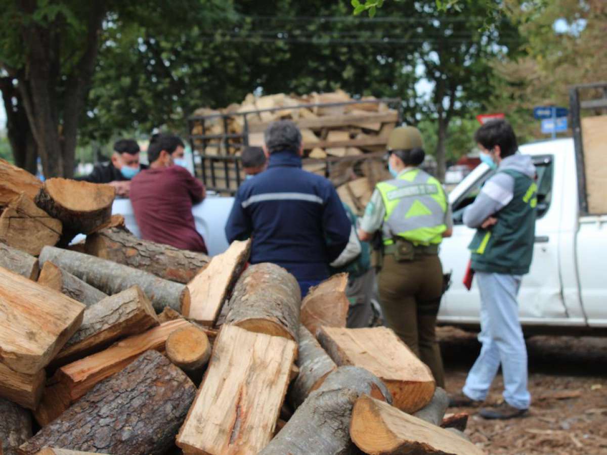 Funcionarios de la CONAF realizaron fiscalización a productores y comercializadores de leña de Ñuble