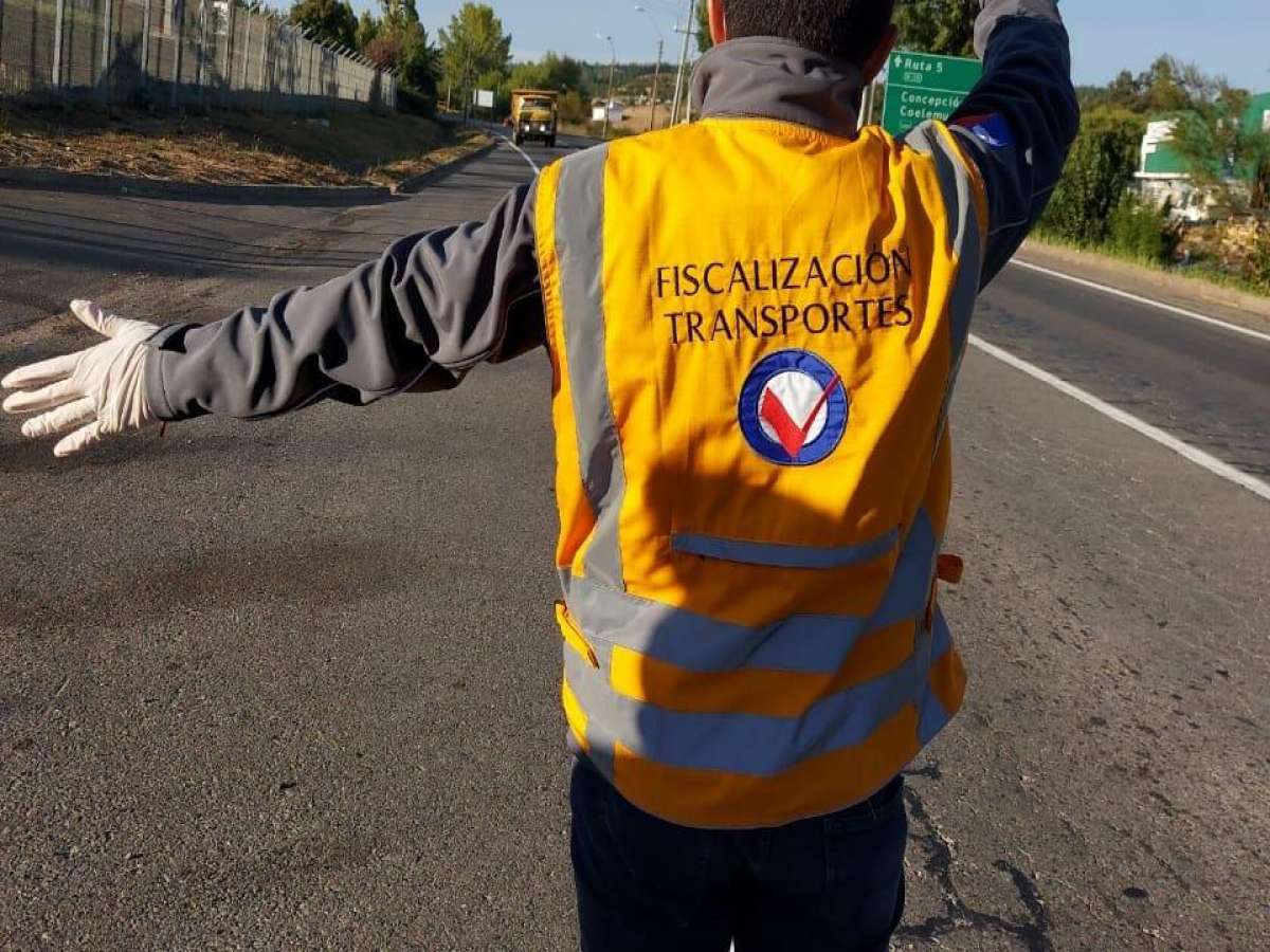 Transportes aumentará fiscalización en terminales de buses este fin de semana largo en Ñuble