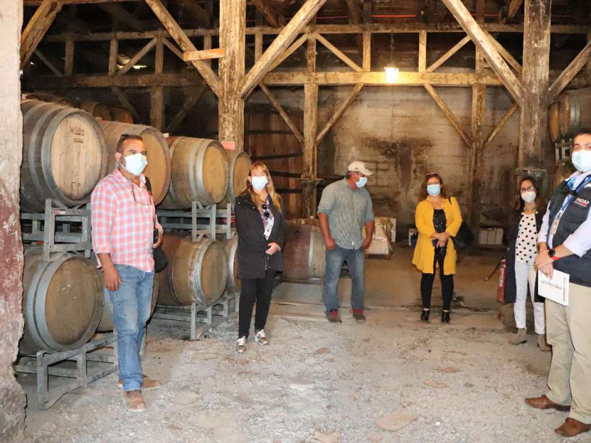 Avanza convenio entre viñateros de Itata y Arauco para vinificar en Hacienda Cucha-Cucha