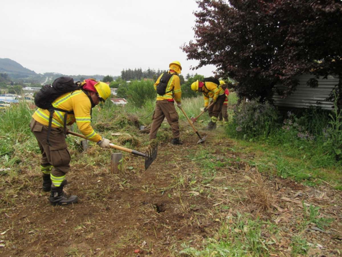 280 kilómetros de cortafuegos se construyeron durante esta temporada en Ñuble