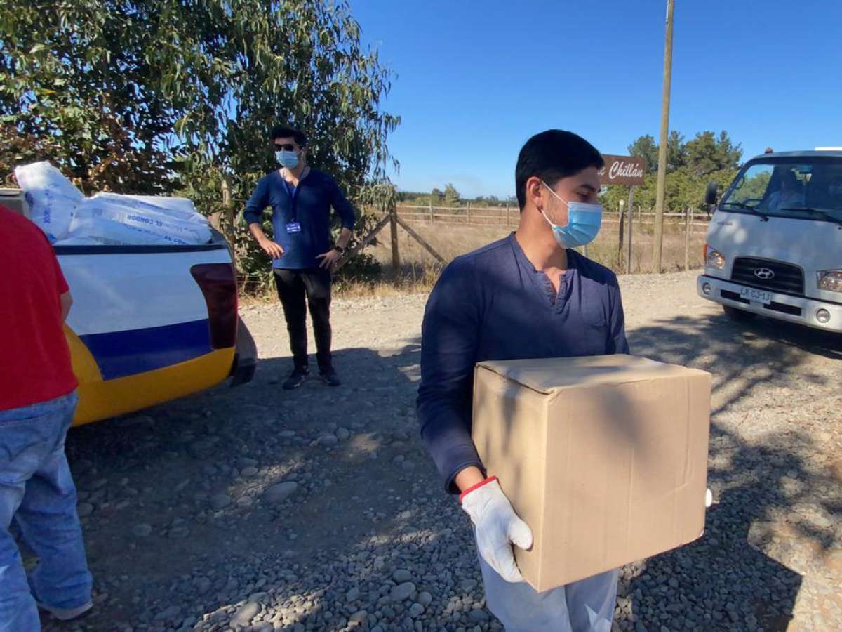 Ocho sectores rurales de Chillán recorrerá esta semana Municipalidad de Chillán entregando cajas de alimentos