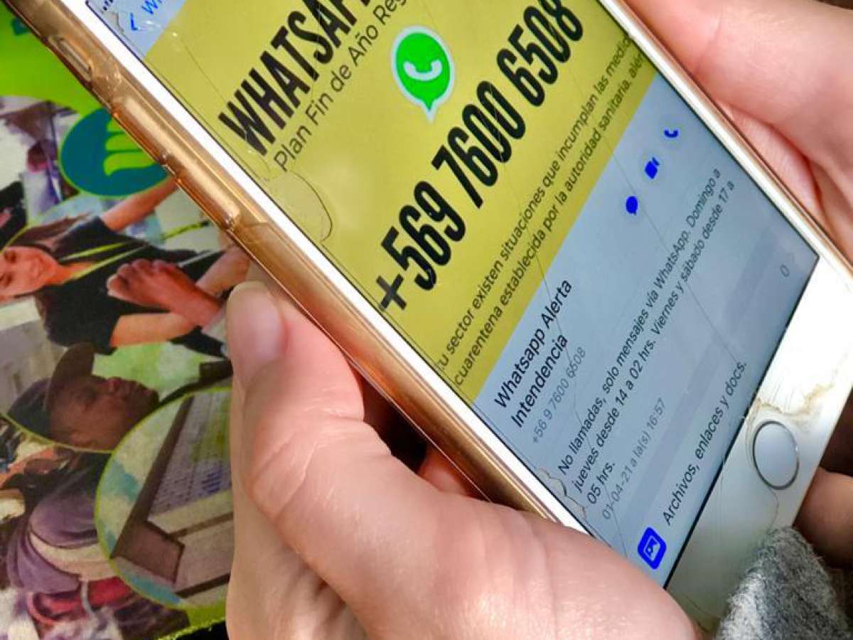 Whatsapp Alerta suma 285 sumarios sanitarios desde su puesta en marcha