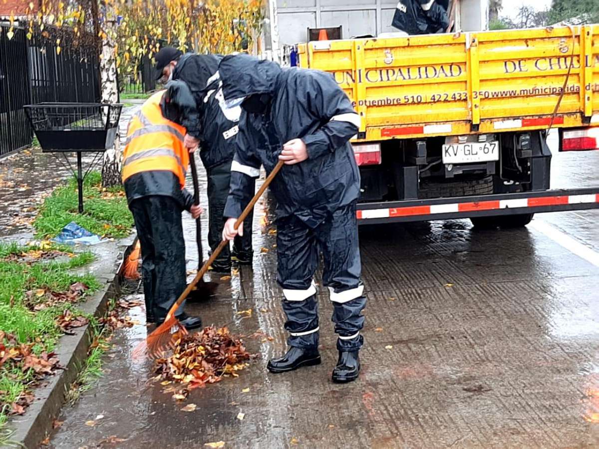 Municipio pide a vecinos de Chillán colaborar en retiro de hojas por frente de mal tiempo