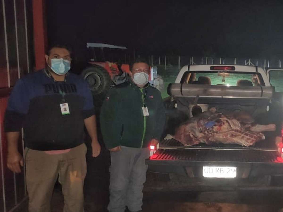 SAG y SEREMI de Salud desmantelan matadero clandestino en San Ignacio