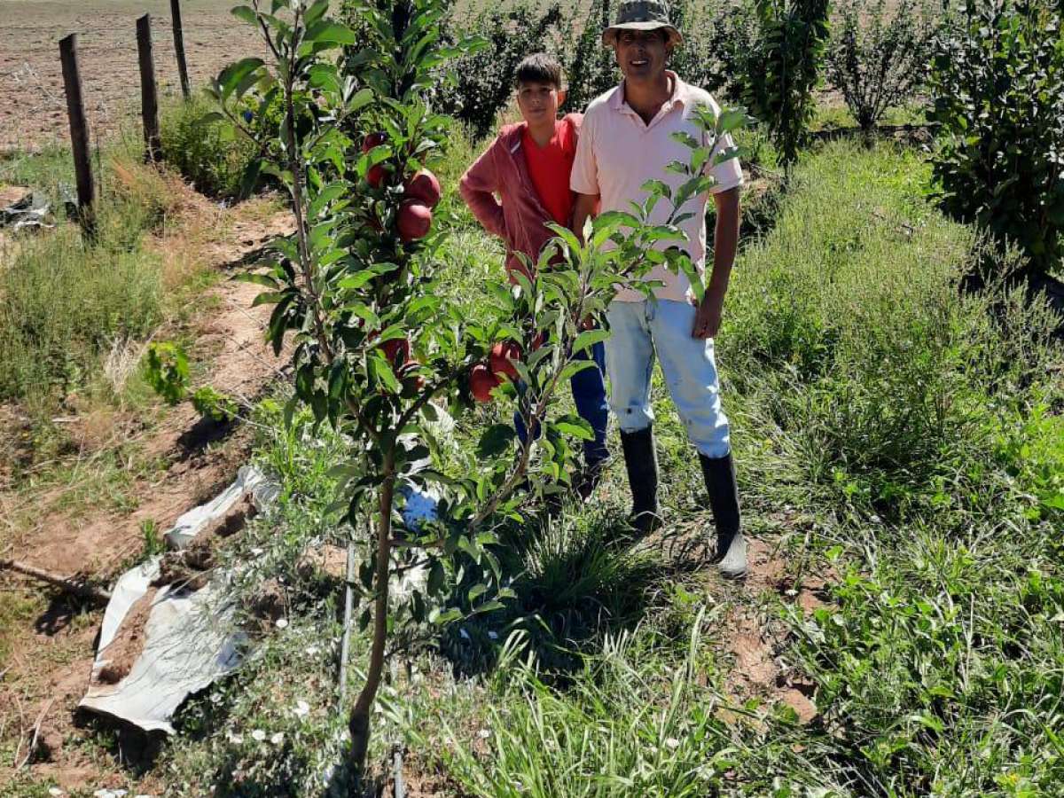 En San Nicolás se preparan para instalación del proyecto ‘Comunidades Mediterráneas Sostenibles’ huertos frutales de 4 estaciones