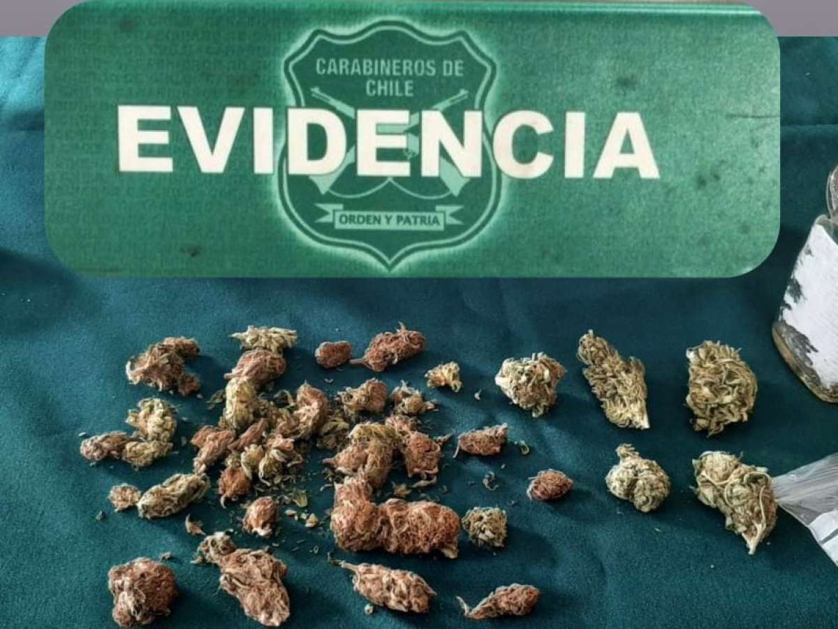 En controles ‘Ruta Segura’ Carabineros de Quillón detuvo a tres personas por porte ilegal de drogas