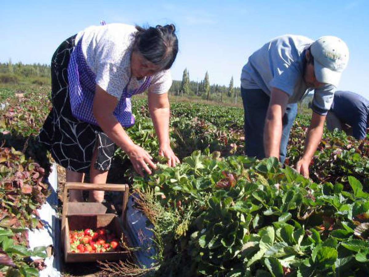 Solicitan realizar estudio sobre migración rural