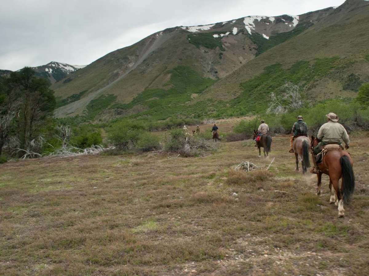 CONAF y SAG reiteran prohibición al ingreso de ganado a la Reserva Ñuble