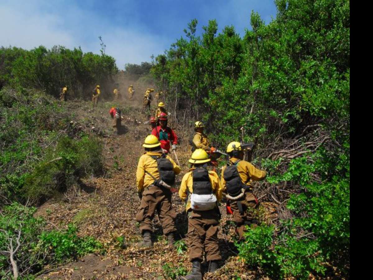 CONAF se prepara para la temporada de incendios 2021-2022