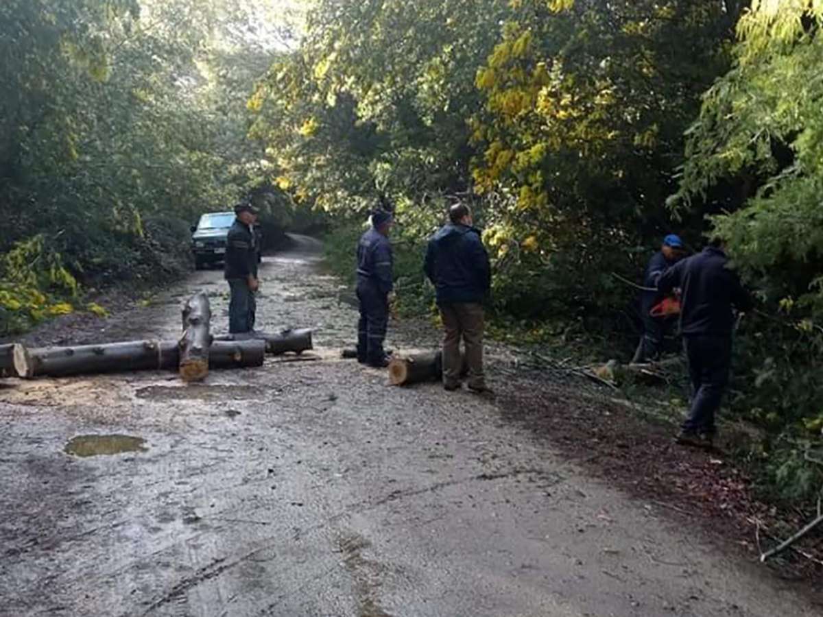 Sistema Frontal en Ñuble: Más de 51 milímetros de agua lluvia acumulada desde el inicio de la Alerta Temprana