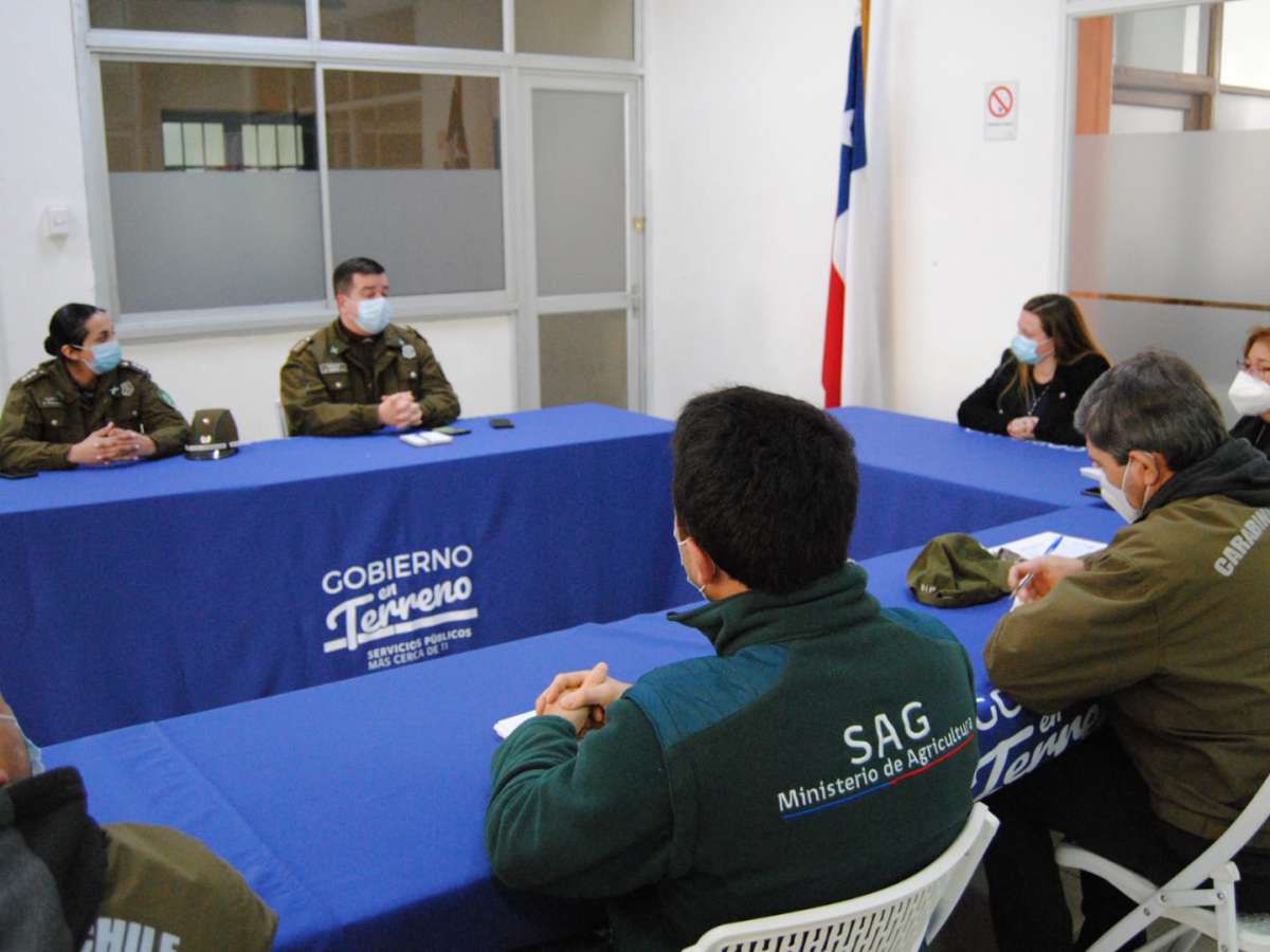 Delegación de Punilla, SAG, Salud y Carabineros se coordinan para trabajar contra el abigeato