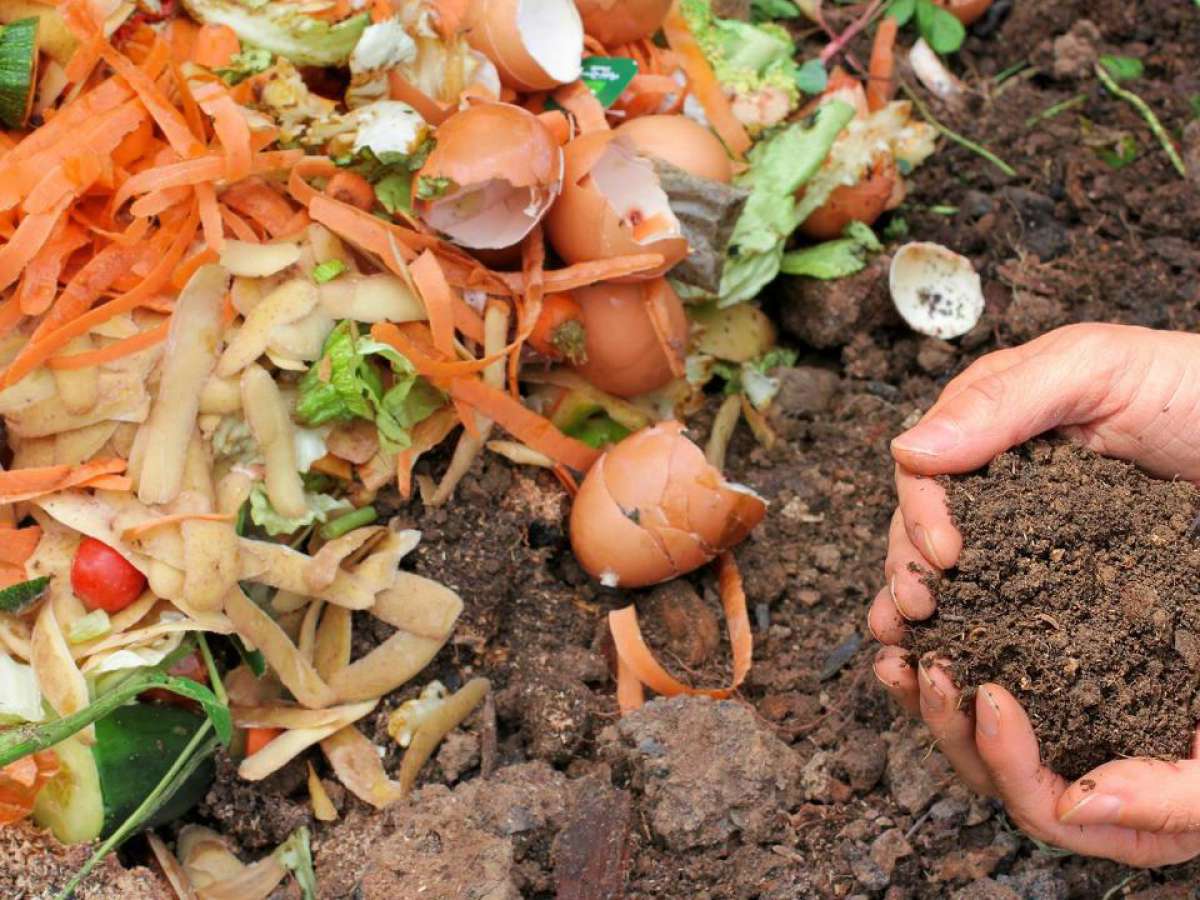 Funcionarios de diversas municipalidades de Ñuble se capacitan sobre Programa de Compostaje/Vermicompostaje