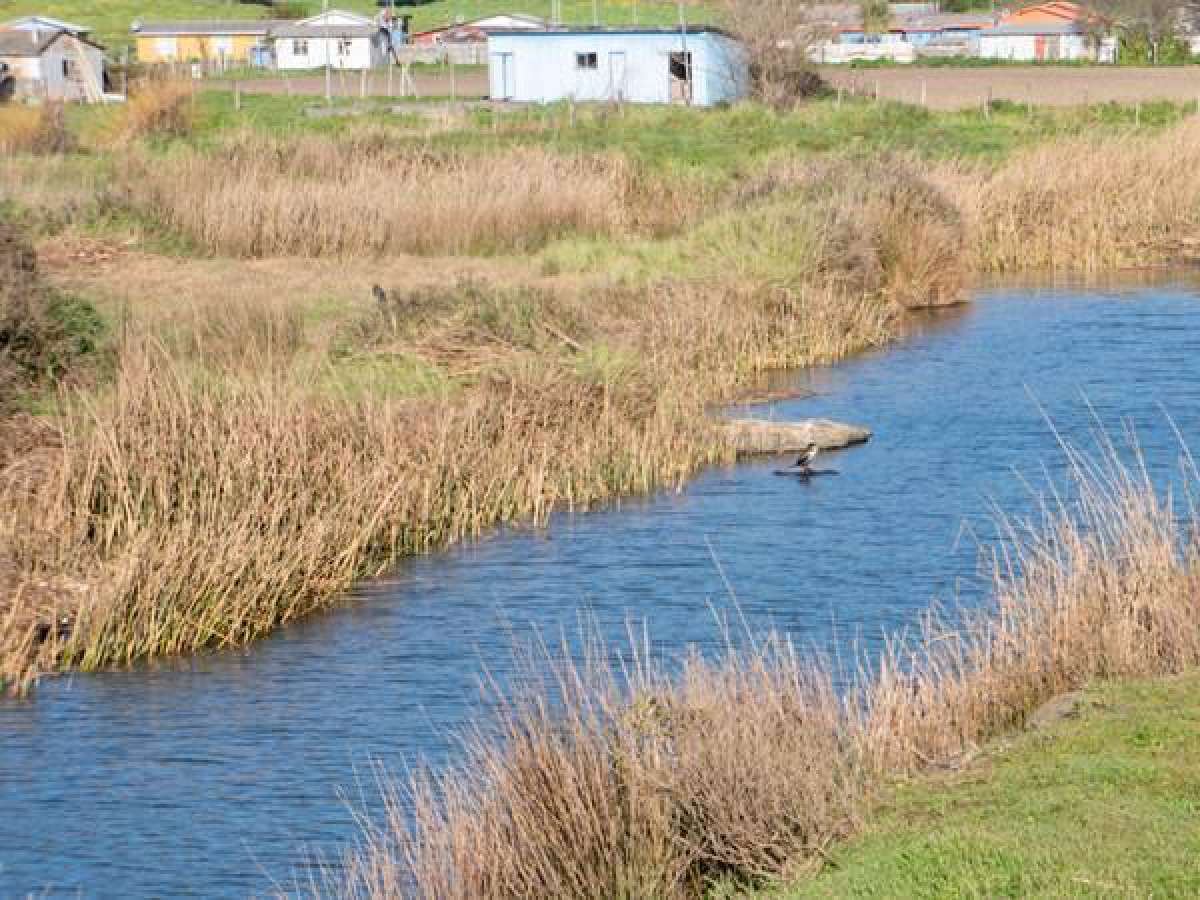 Seremi de Medio Ambiente detalló a vecinos de Coelemu proceso de declaratoria de Humedal Perales