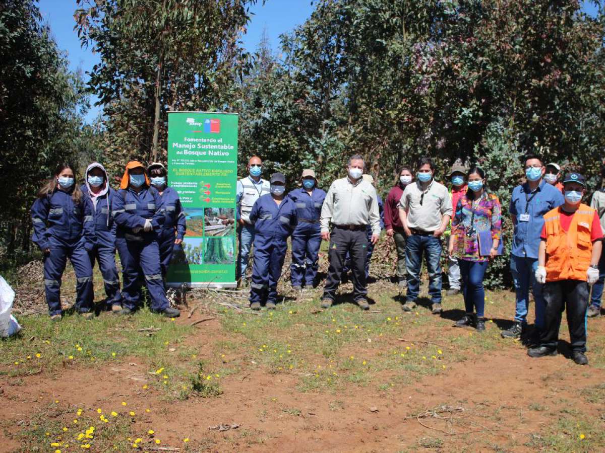 CONAF Ñuble destaca aporte de cuadrillas de mujeres en labores forestales