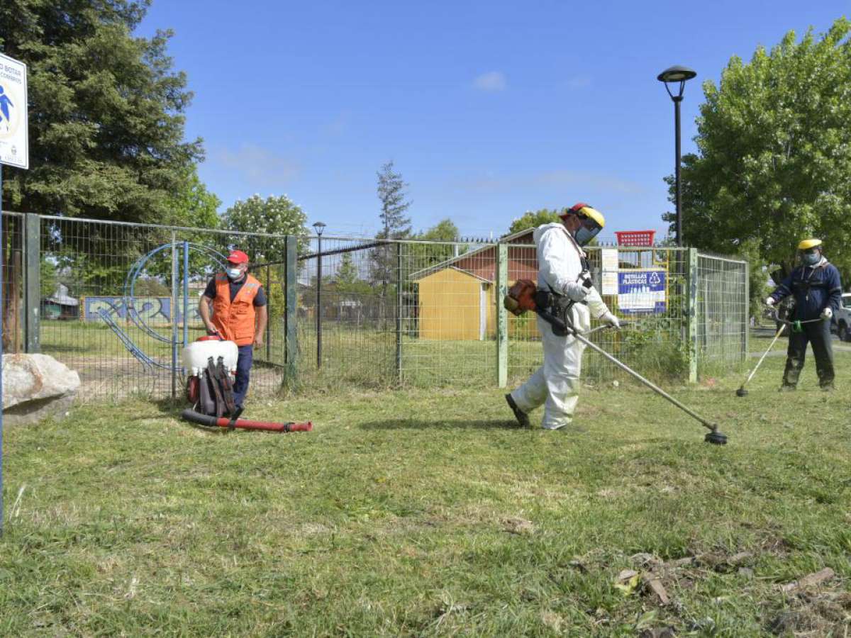 Municipio trabaja en Plan de Emergencia para cubrir áreas verdes de Chillán