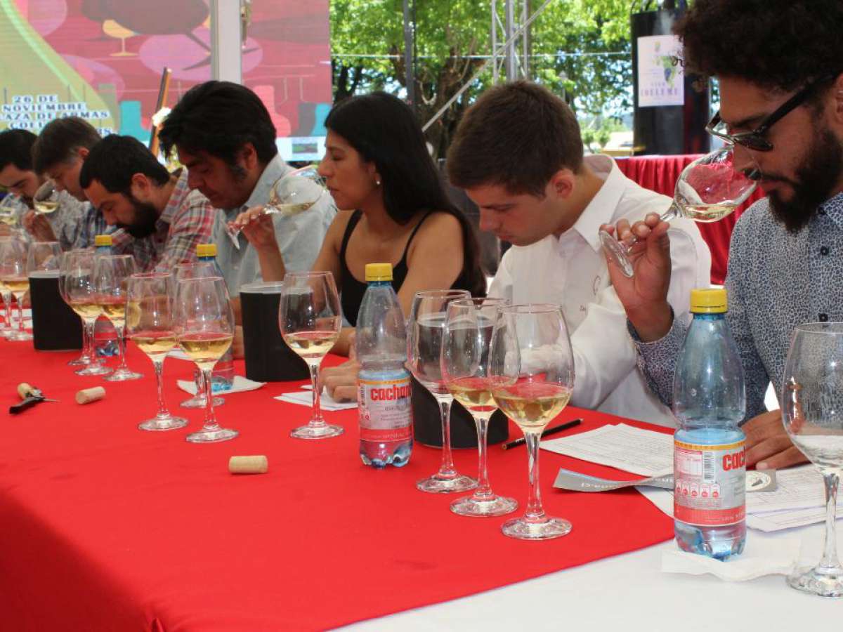 Primer concurso del vino de Quillón reunirá a los mejores exponentes del valle del sol   