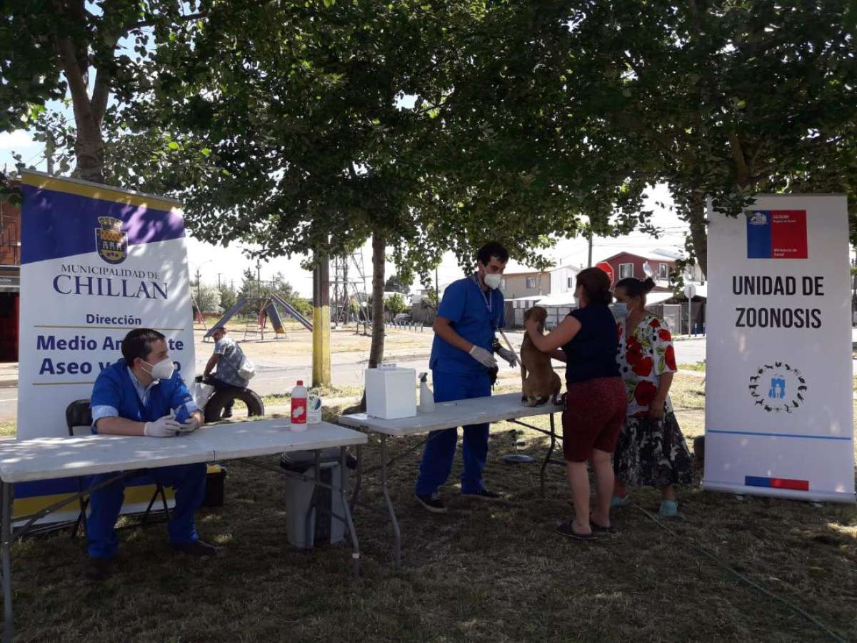 Clínica Veterinaria realiza vacunación antirrábica gratuita a más de 80 mascotas