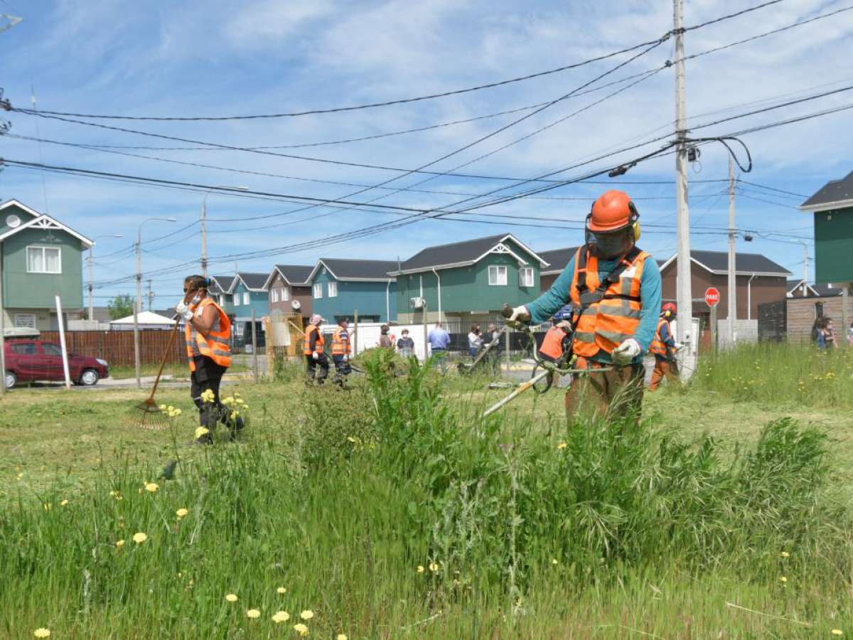 Tres empresas postularon a mantención de áreas verdes y municipio comienza etapa de evaluación