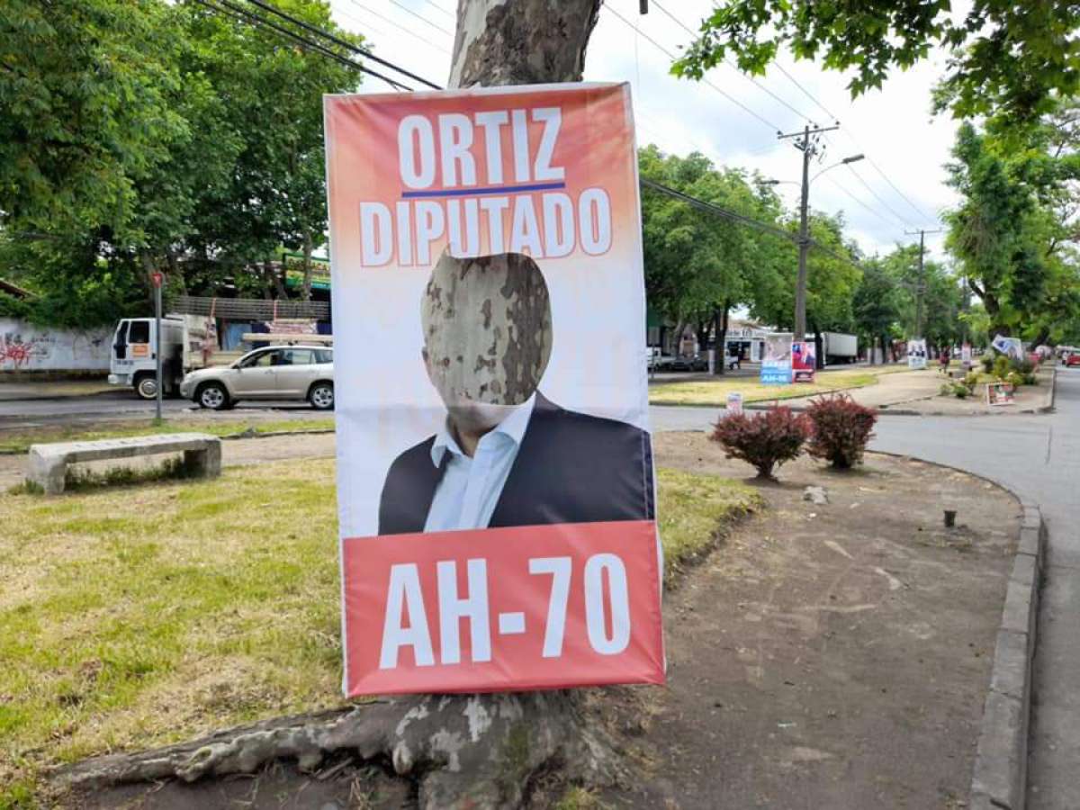 95% de las palomas políticas del candidato a diputado Cristian Ortiz fueron destruidas 