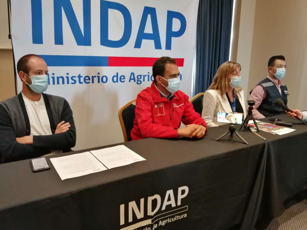 INDAP Ñuble lanza la 8° versión de concurso que premia a los mejores vinos campesinos de la región