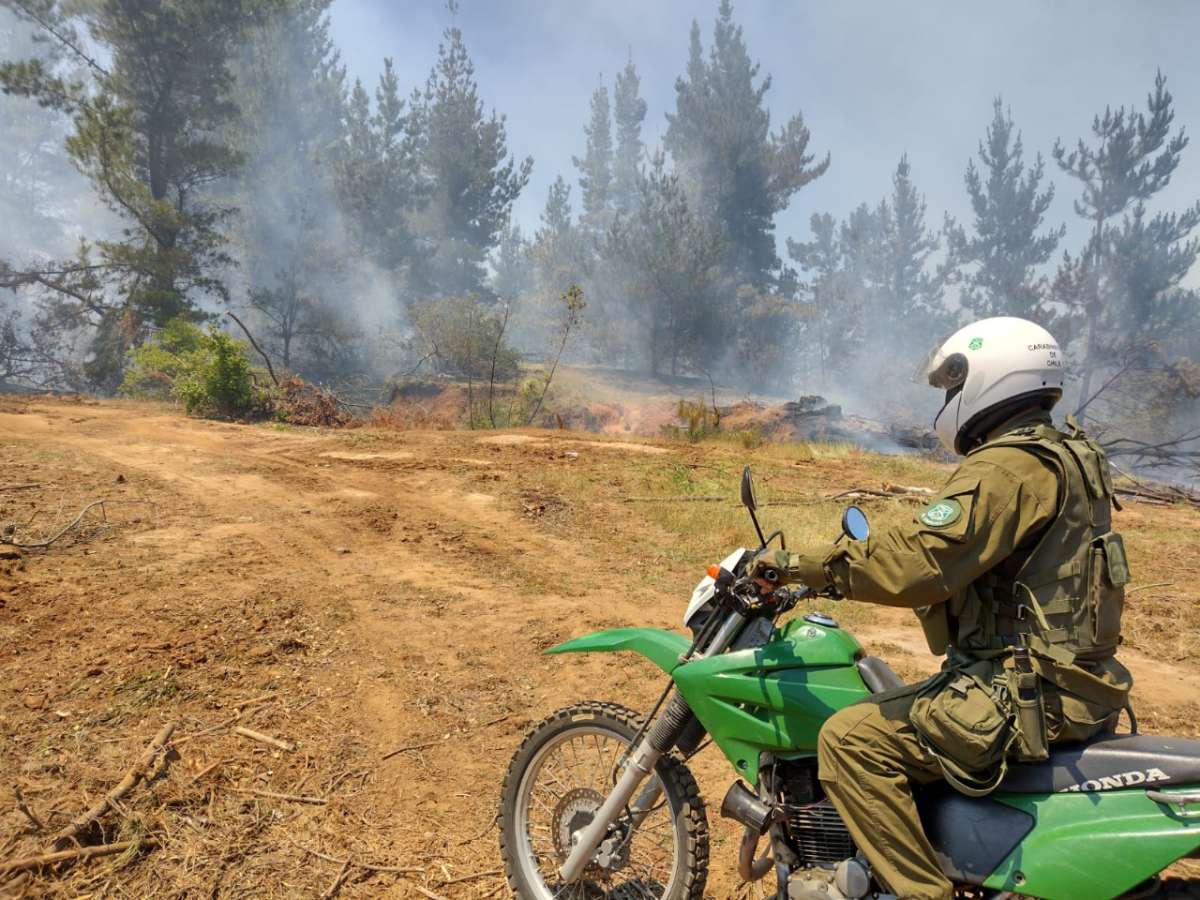 Con 2 detenidos y 40 infracciones Patrulla Forestal de Carabineros Ñuble cerró su primer mes de servicios de prevención de incendios forestales