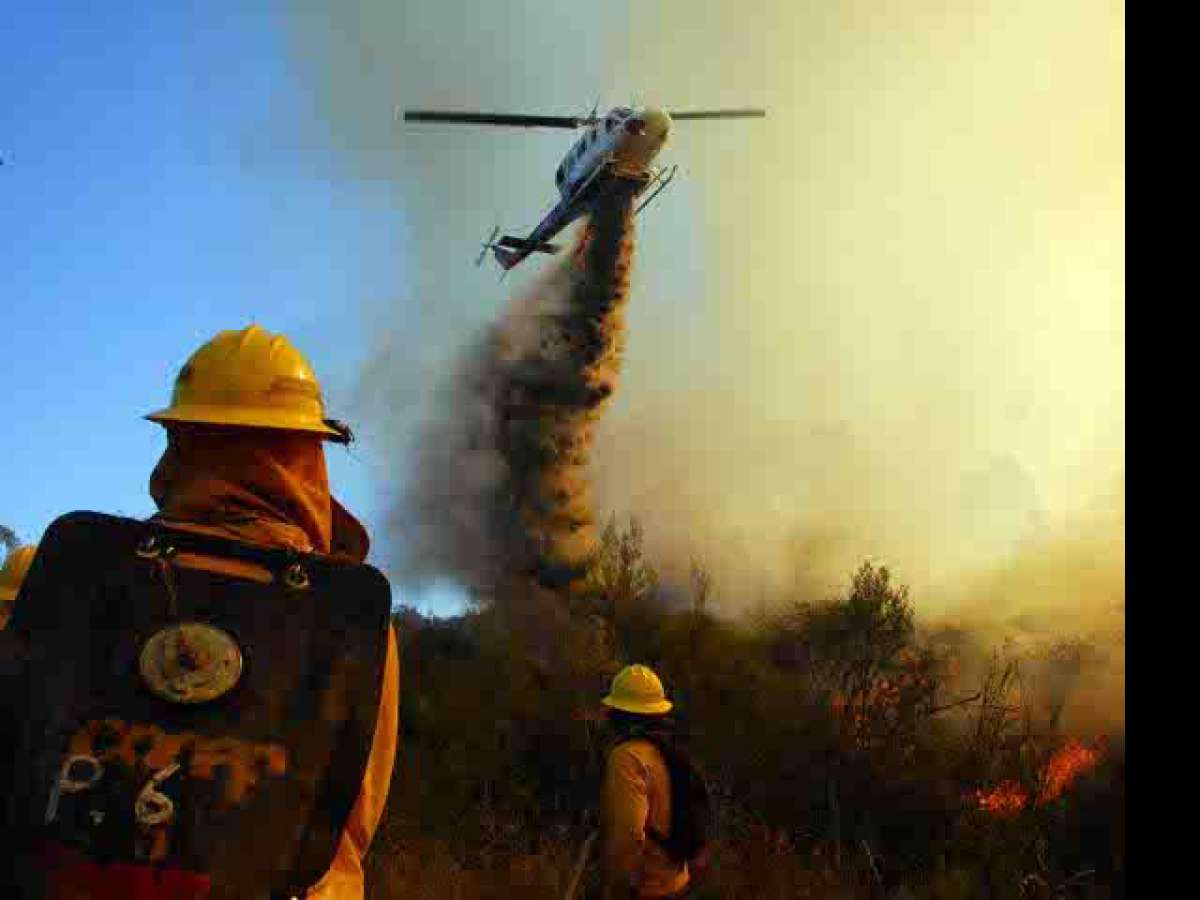 Autoridades llaman a jóvenes de Ñuble a participar de las brigadas forestales