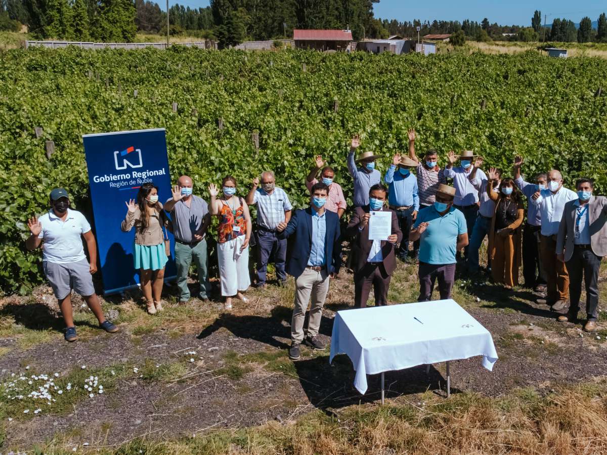 PRODUCTORES DE UVA Y VINO DE LA ZONA DE REZAGO RECIBEN APOYO DEL GOBIERNO REGIONAL PARA PRODUCCIÓN LIMPIA