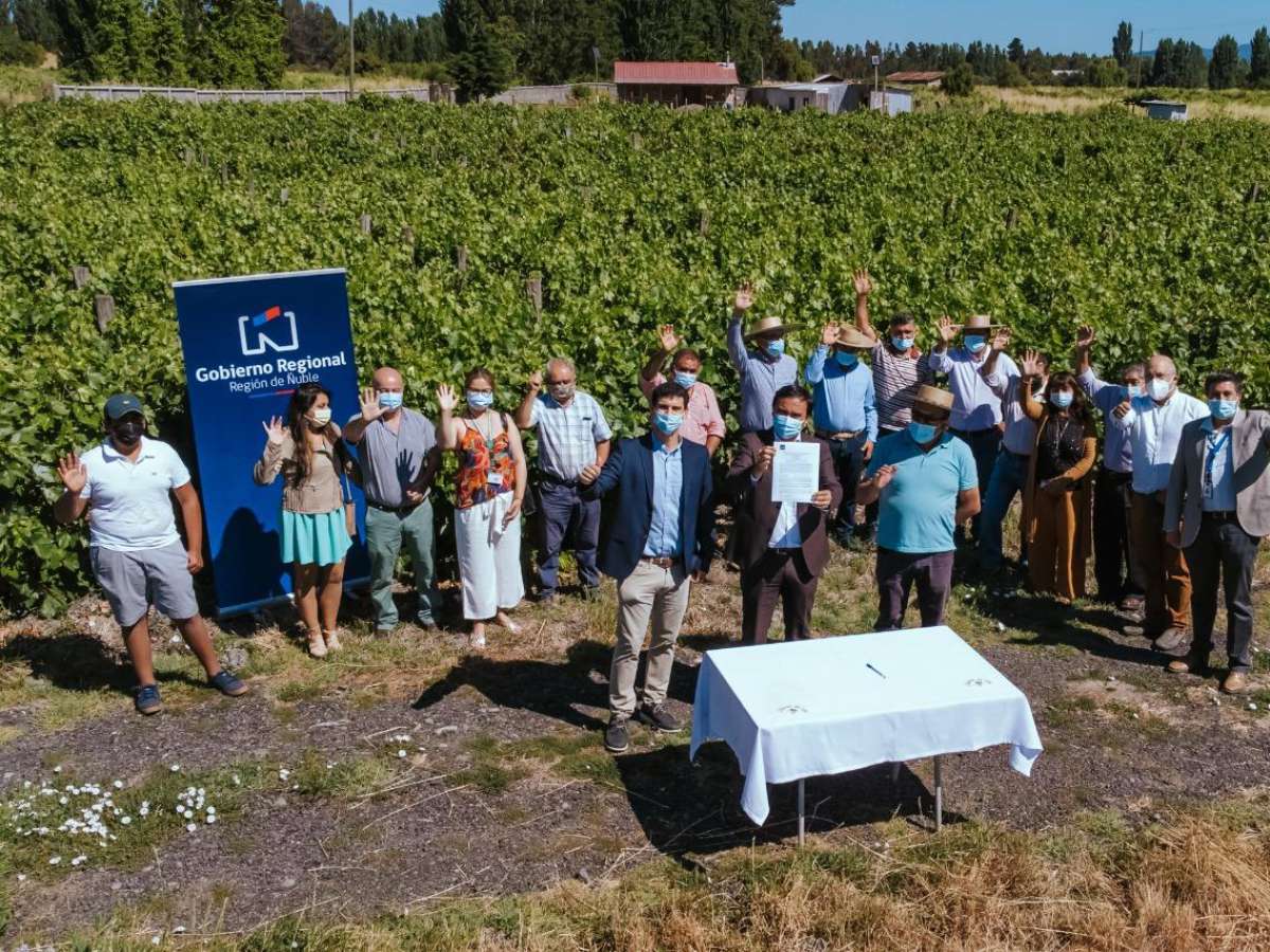 Productores de uva y vino de la Zona de Rezago reciben apoyo del Gobierno Regional para producción limpia