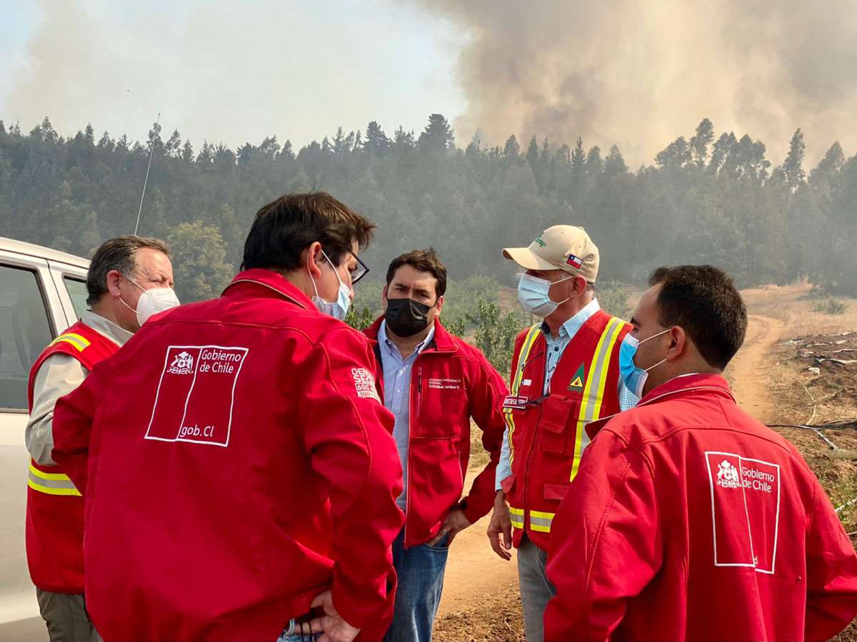 Incendio forestal en Quillón deja cuatro sectores evacuados y más de 1.600 hectáreas quemadas