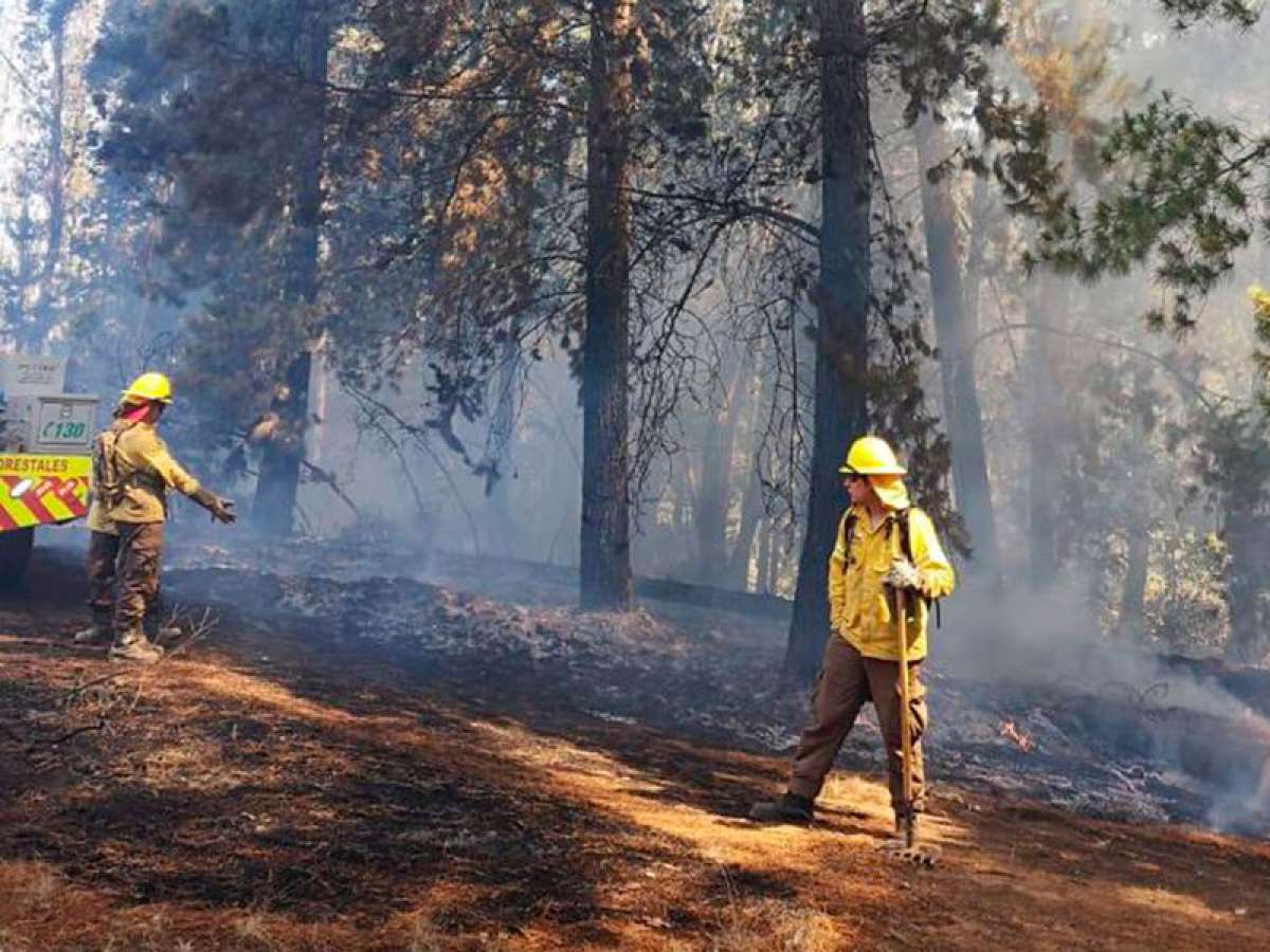 Onemi declara alerta roja para Yungay y alerta amarilla en Chillán Viejo por incendios forestales